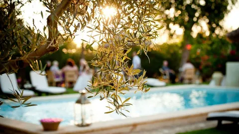 Garden reception beside the pool at Hacienda de San Rafael